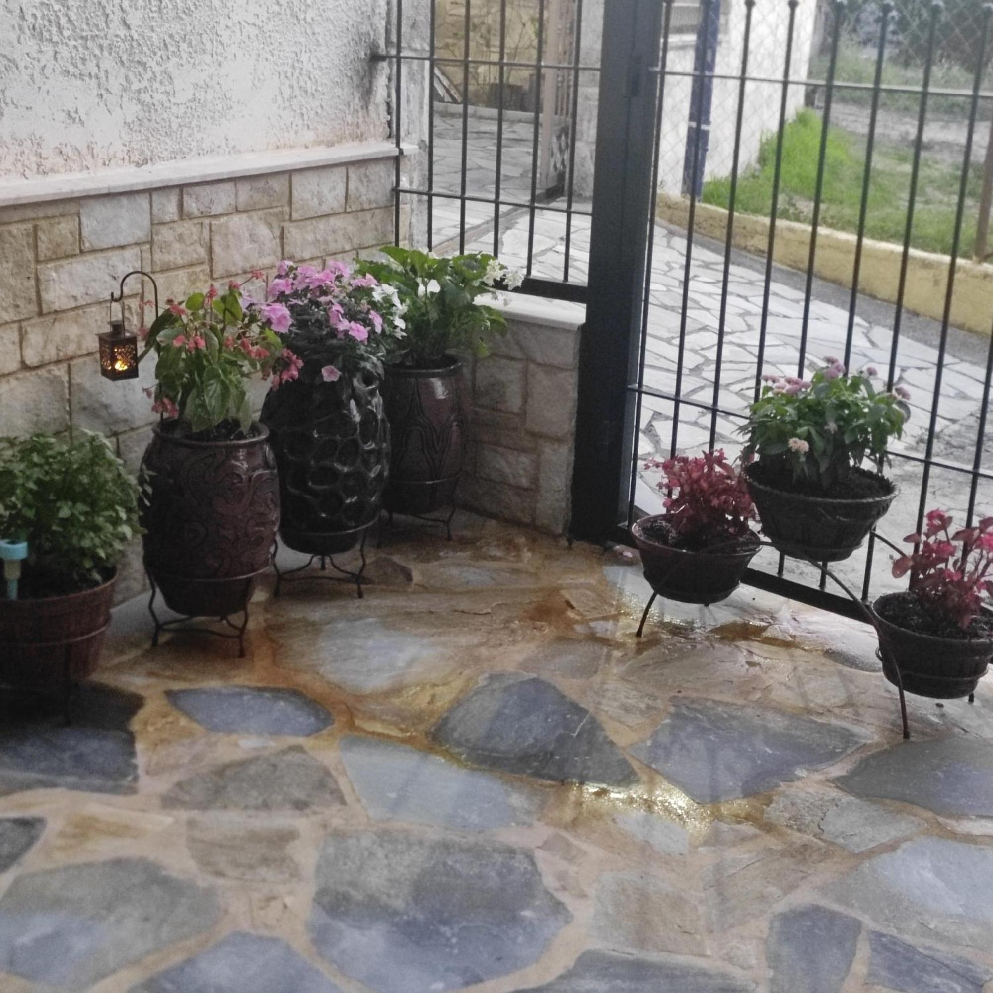 Ferienwohnung Eleni-Areti Pefkochori Exterior foto
