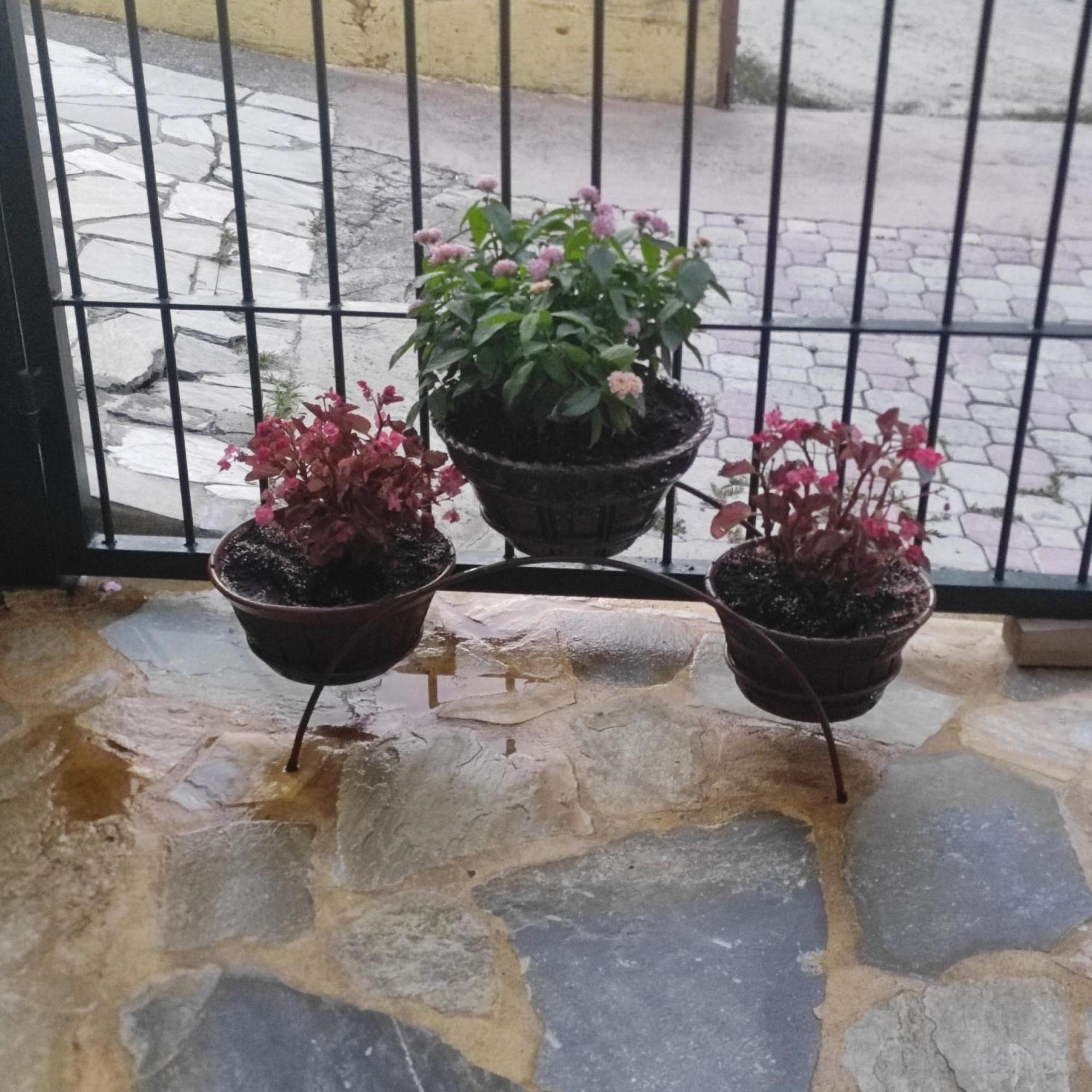 Ferienwohnung Eleni-Areti Pefkochori Exterior foto