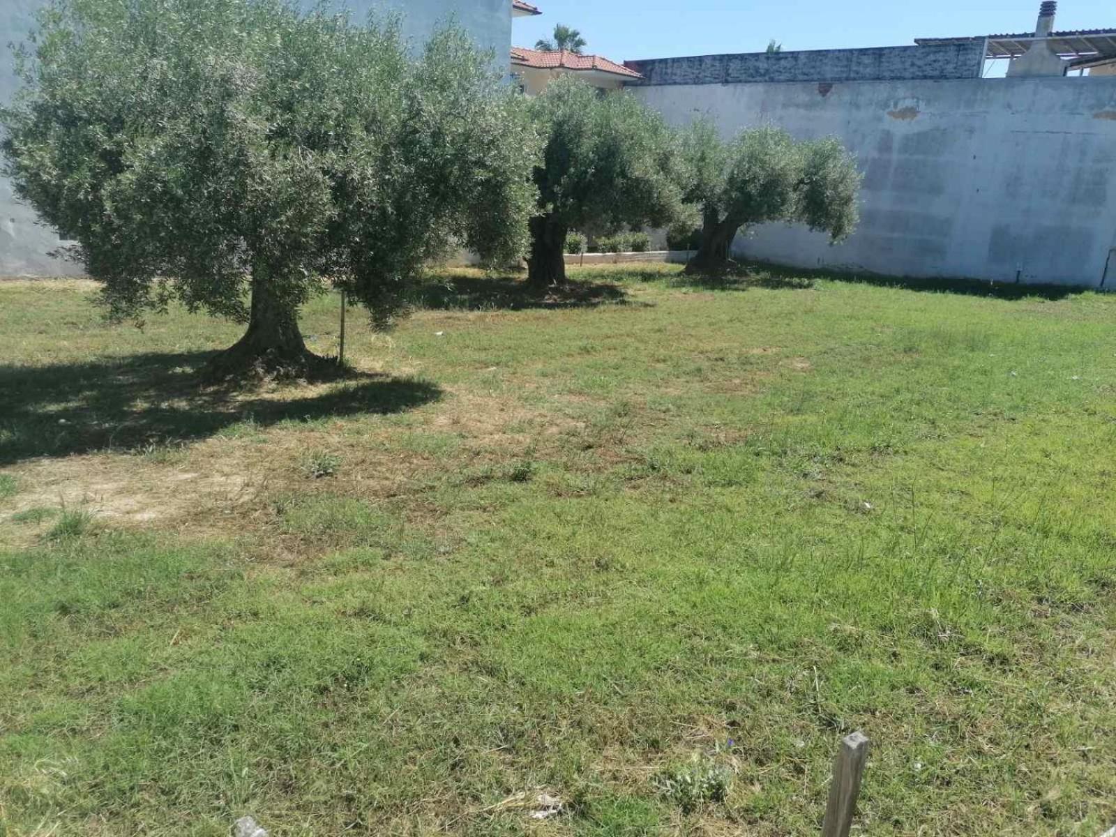 Ferienwohnung Eleni-Areti Pefkochori Exterior foto